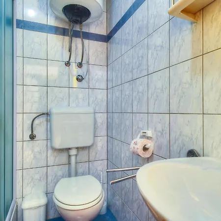 Pet Friendly In * Buje